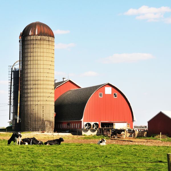 Grain Storage Silos