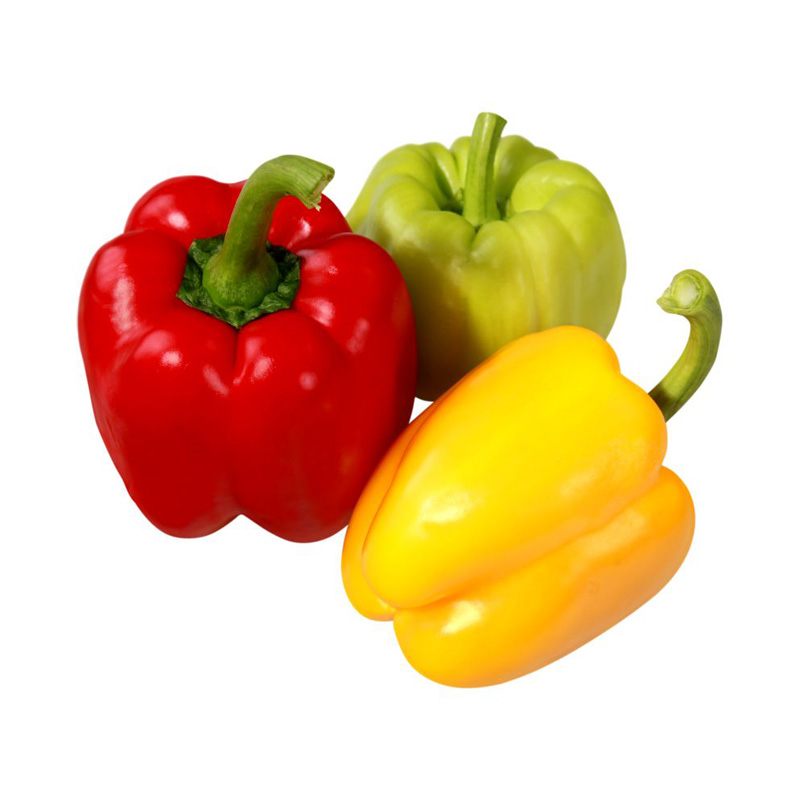 Capsicum